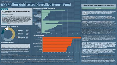 DFPCX BNY Mellon Diversified International Fund C .